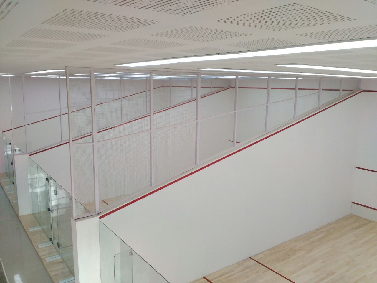 WhatsApp Image 2025-11-24 at 5.35.48 PM