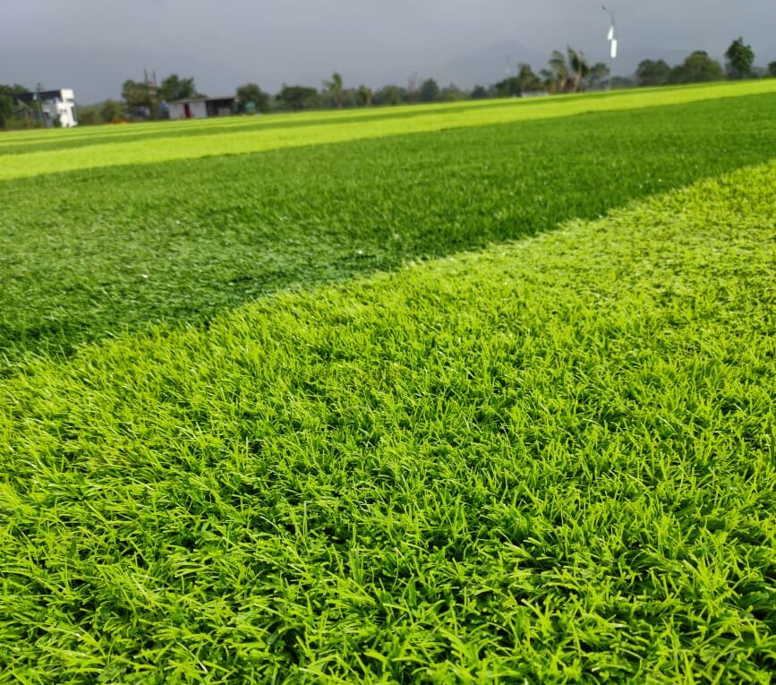 WhatsApp Image 2025-11-25 at 11.10.41 AM